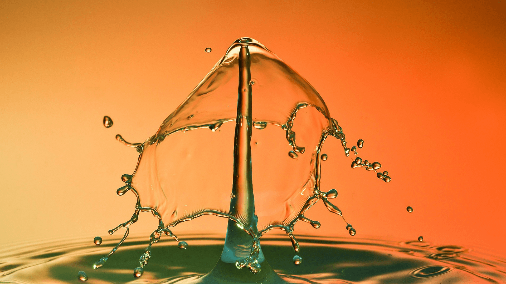 Unique Selling Proposition 1