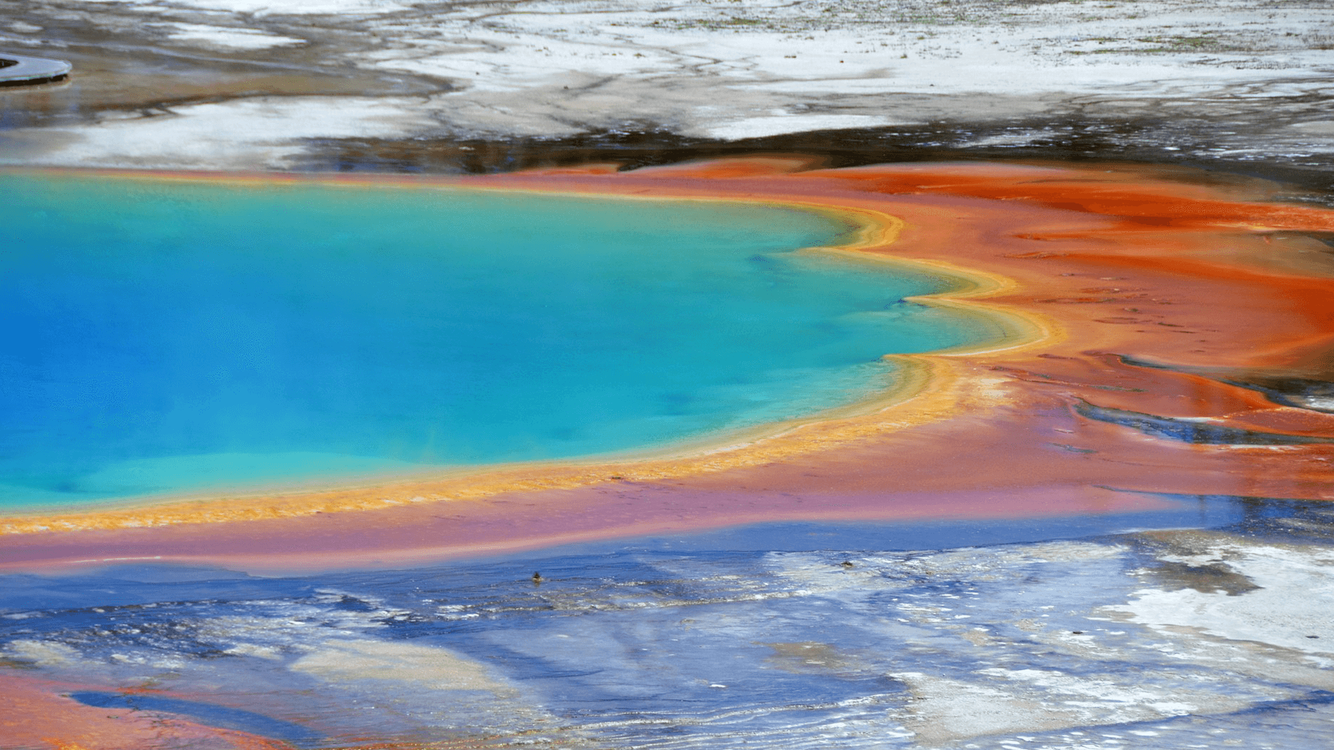 Unique Selling Proposition 2